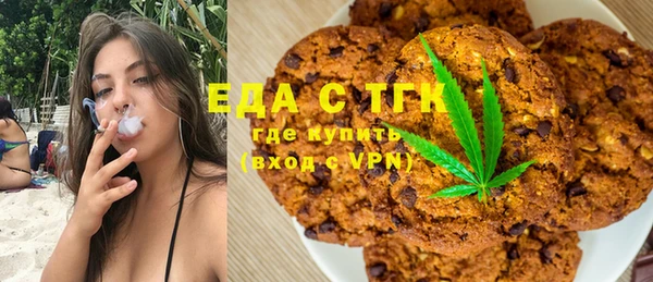 ECSTASY Алзамай