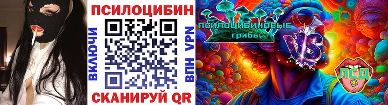 Псилоцибиновые грибы Cubensis  Добрянка 