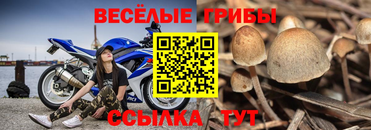 Галлюциногенные грибы MAGIC MUSHROOMS  Псилоцибиновые грибы MAGIC MUSHROOMS  Добрянка  Вход с VPN 