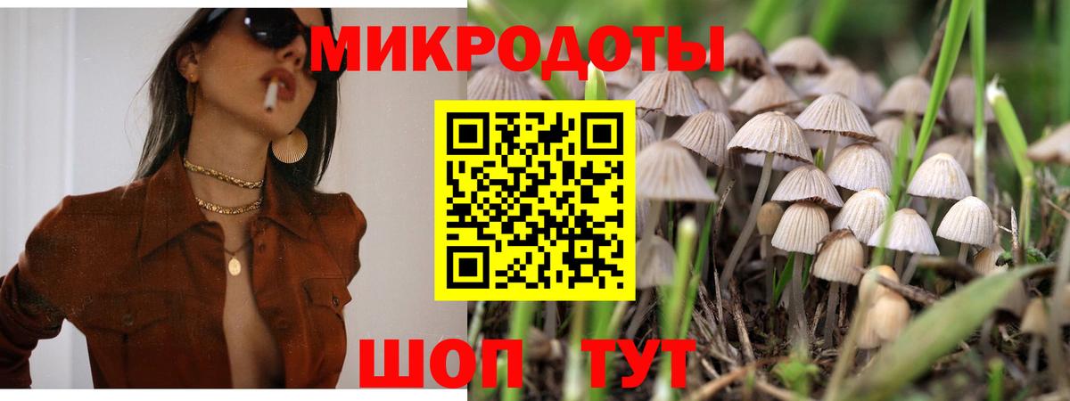 Галлюциногенные грибы Magic Shrooms Добрянка