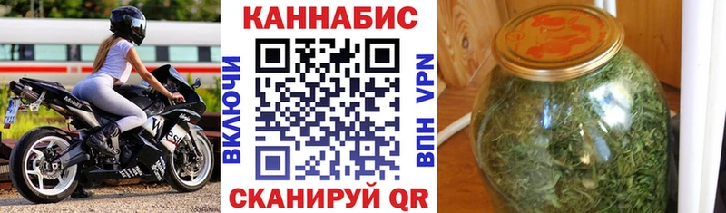 Конопля гибрид  Добрянка 